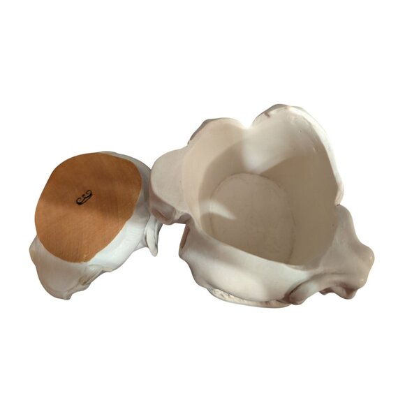 Harmony Kingdom Rather Large Safari 1995 Elephants Trinket Box 4 x 4.5 in No Box - Picture 6 of 7